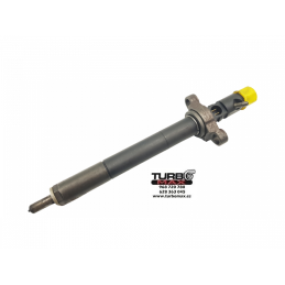Inyector Delphi Common rail Citroen C4 Coupe EJBR03801D