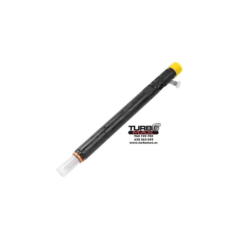 Inyector Delphi SSANGYONG EJBR02601Z