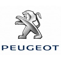 Geometrías Peugeot