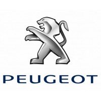Peugeot (Turbos nuevos)