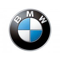BMW (Turbos de intercambio)